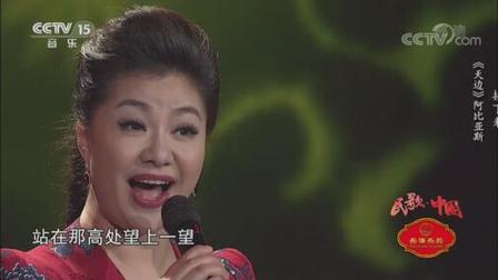 王丽达演唱《天边》